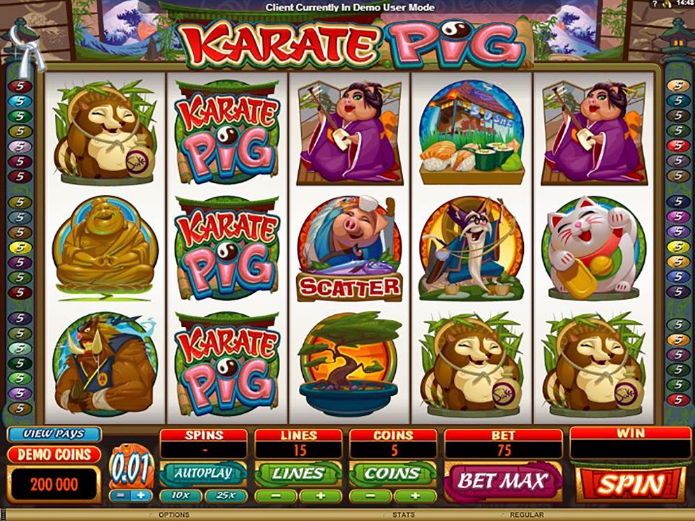 Slot Karate Pig